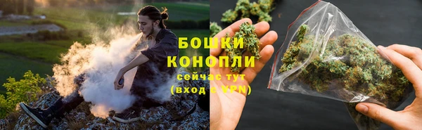 шишки Беломорск