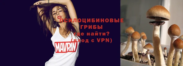 шишки Беломорск