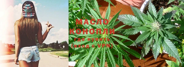 индика Протвино
